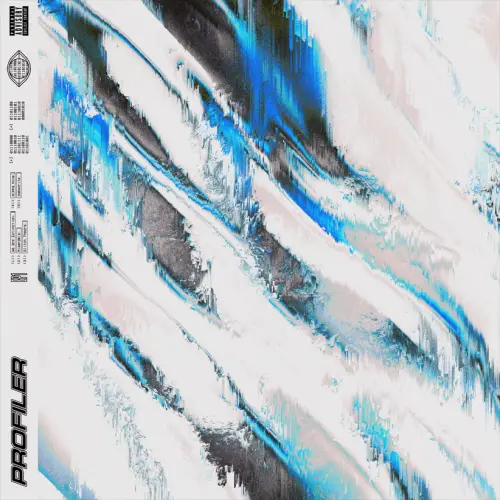 Profiler : Glitch Theory